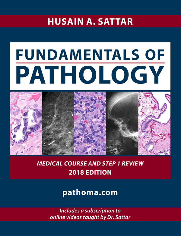 fundamentals of pathology pathoma 2018 pdf
